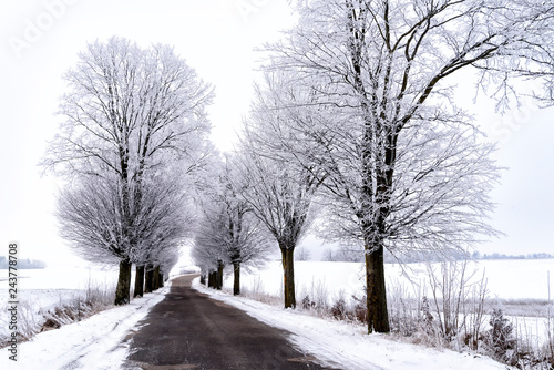 Allee im Winter in Masuren © cameris
