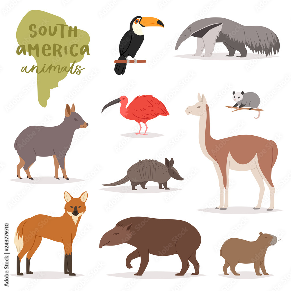 Animal in South America vector wild animalistic mammal character ...