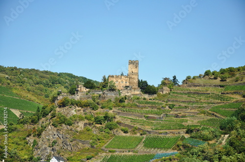 Castle Pfalzgrafenstein in the middle of the rhine river in Germany,2015 photo