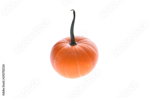 Pumpkin isolated on a white background