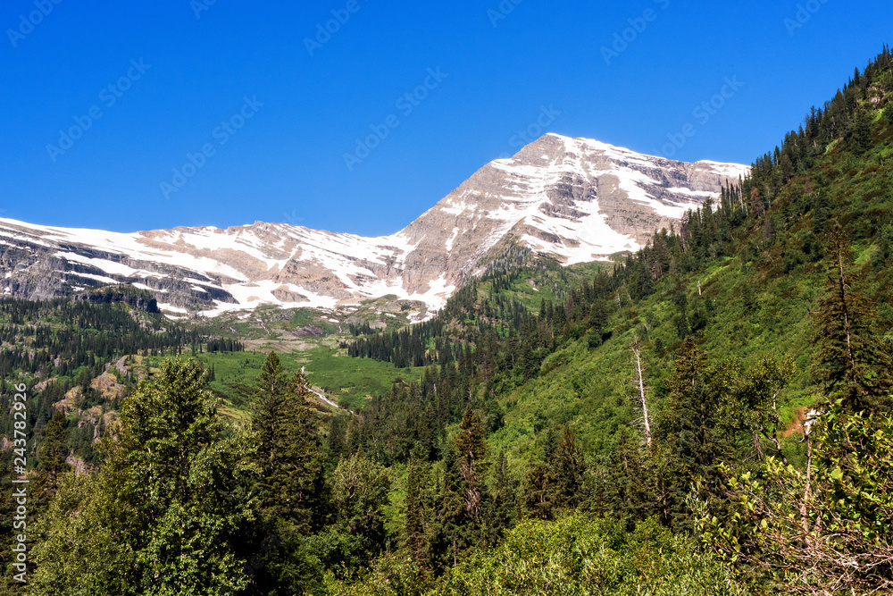 Landscape of a Peak in Glacier National Park, Montana