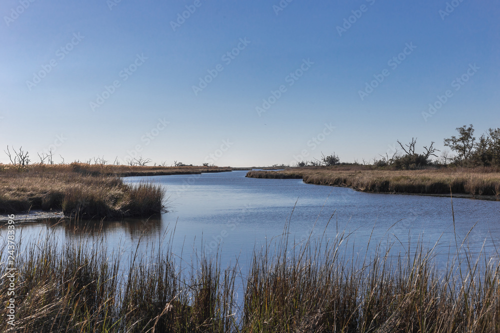 Looking down a calm river surrounded by marshlands