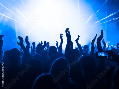 Concert crowd at rock concert