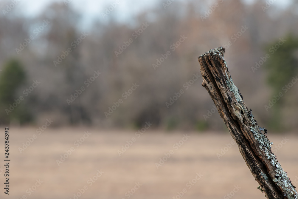 A wooden post that could be used for a fence on the farm or firewood in the home. Bokeh effect.