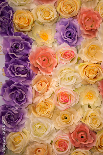 Beautiful vintage Rose background. Elegant style floral.