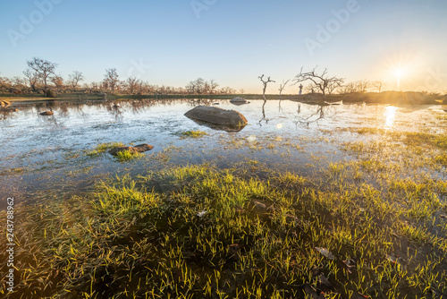 View of a lagoon at the Spanish countryside. A view of the blue sky and bare trees reflections in water on a sunny day. Big farming lands for agriculture and an amazing landscape 