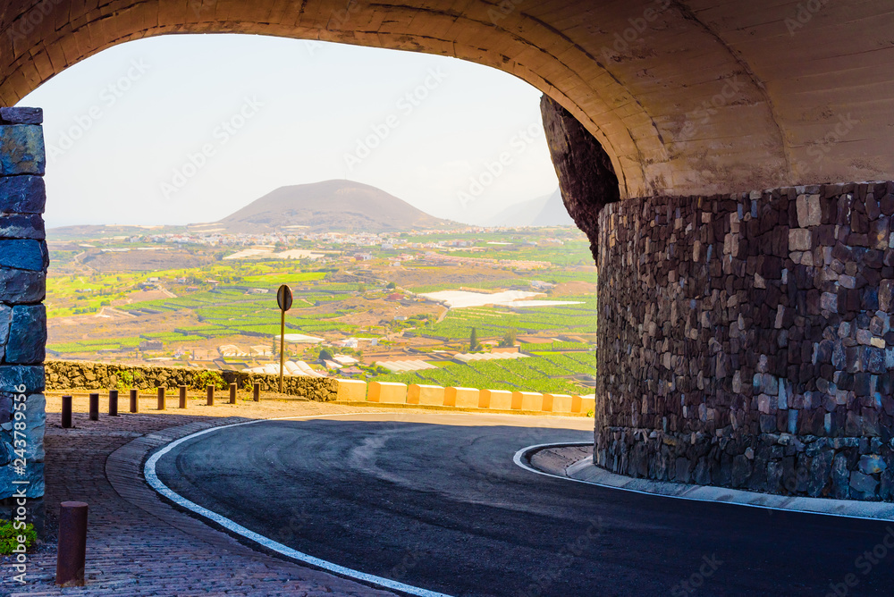 Fototapeta premium Species road to Cape Teno. Tenerife. Canary Islands..Spain