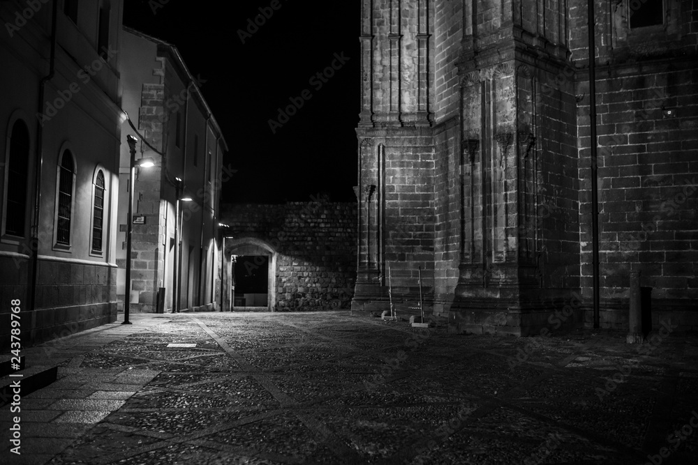 Fototapeta premium Plasencia old and new Cathedral, a representation of Gothic and Roman styles, going back to the medieval era inside west Spain an amazing view to our culture history. An awe medieval religious town 