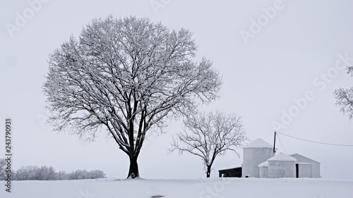 Barn in field covered in snow