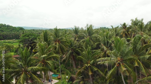 Wallpaper Mural Aerial view of tropical virgin beach with black sand. Bali island, Indonesia. Torontodigital.ca