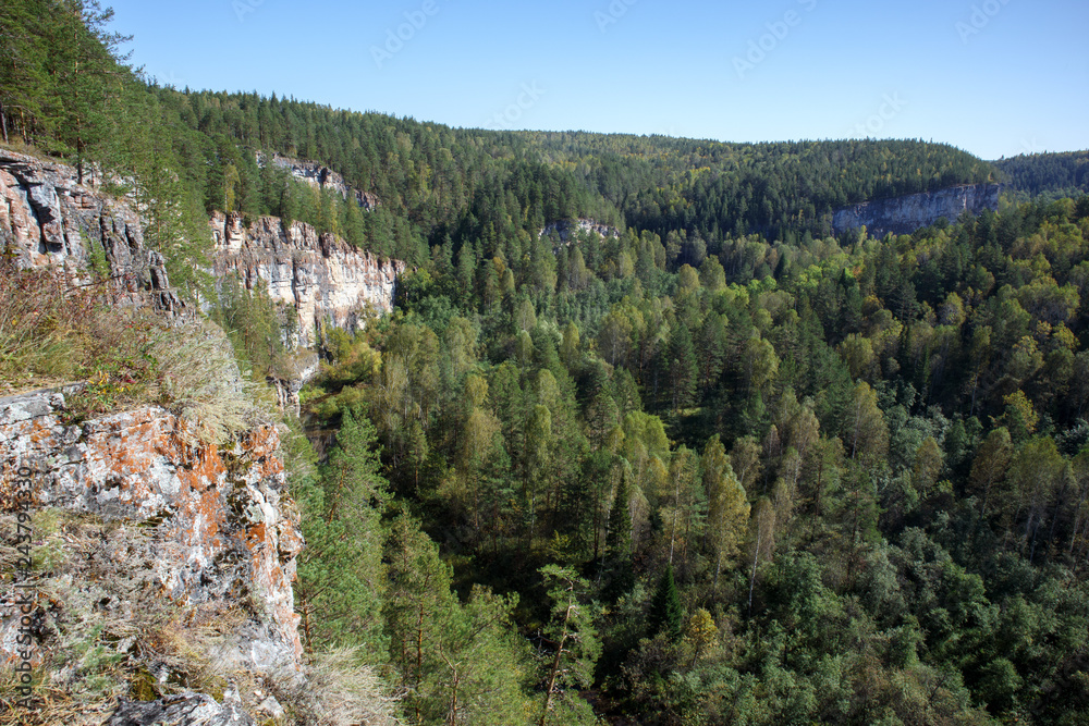 The forest near the cave Ignatievskaya