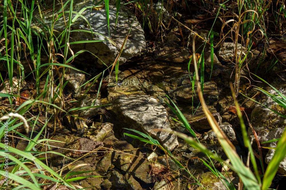 Obraz premium SIM river near Ignatiev cave