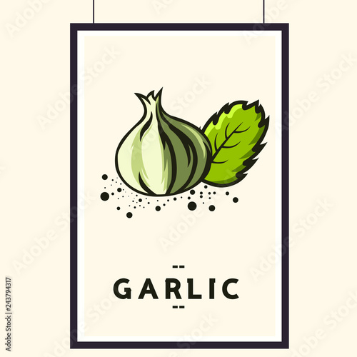 Fresh garlic on white background illustration