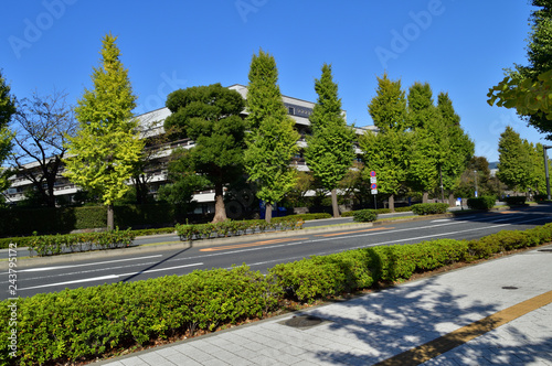 東京メトロ永田町駅から国会図書館方面に向かう道路を隔てて、街路樹越しの国会図書館の建物を撮影した写真