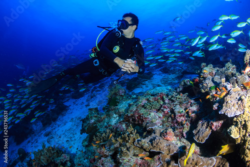 Wallpaper Mural Male SCUBA diver exploring a colorful tropical coral reef in the Andaman Sea Torontodigital.ca