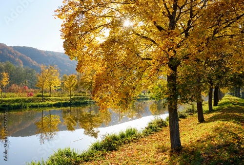 Ludwig-Danube-Main Canal, near Essing in autumn, Altmuhltal, Lower Bavaria, Bavaria, Germany, Europe photo