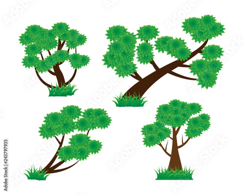 Isolated tree on the white background.