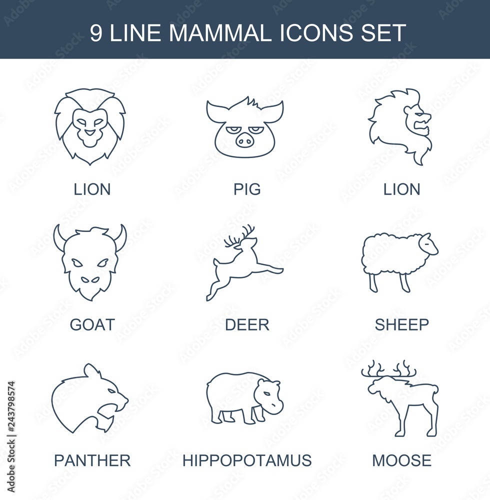 9 mammal icons