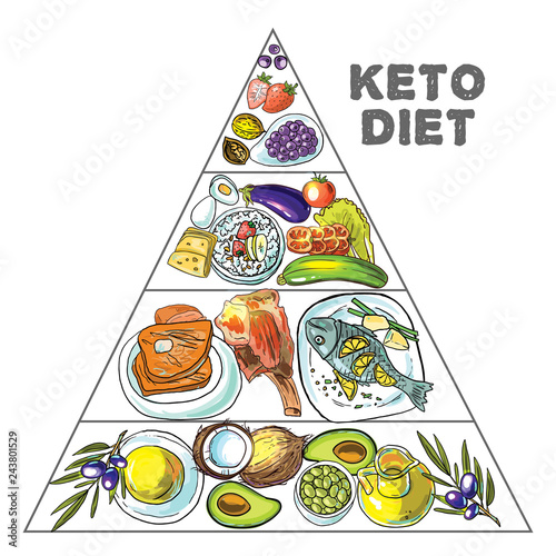  Hand drawn vector illustration KetoDiet nutrition and 