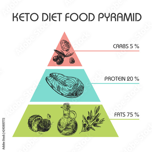  Hand drawn vector illustration KetoDiet nutrition and 