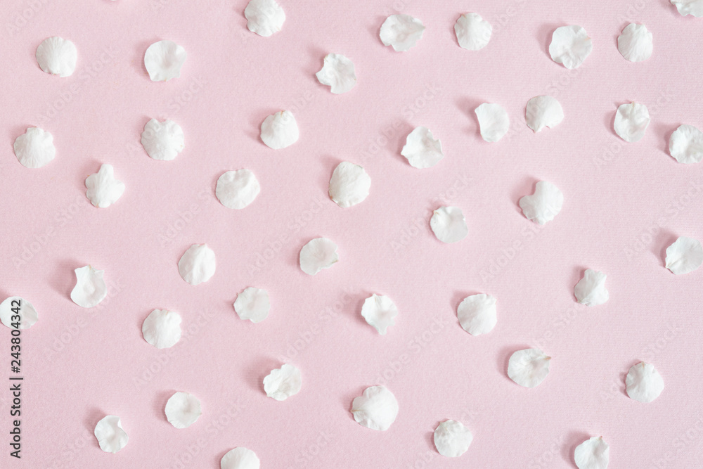 Backgrounds and textures. White apricot petals on a pink background. Close-up