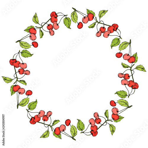 Vector Cherry fruits on white background. Green leaf. Red and green engraved ink art. Frame border ornament square.