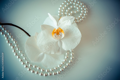 pearl and white orchid on a white glas 