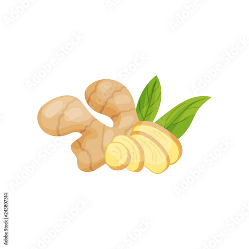 Ginger root with chopped pieces and green leaves. Organic product. Healthy food. Culinary ingredient. Flat vector icon