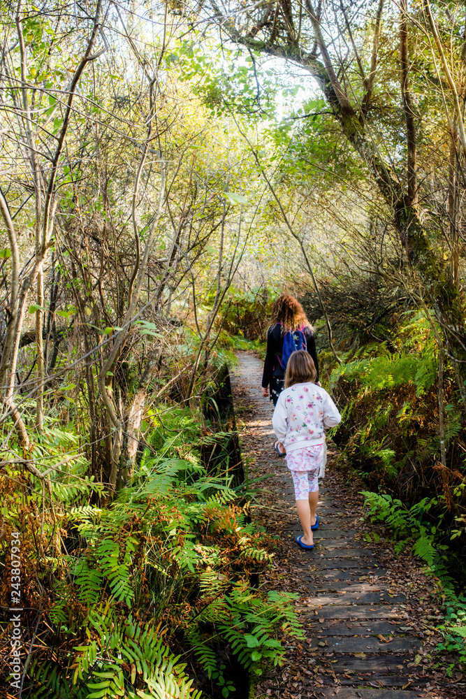 promenade de l'étang noir dans les Landes