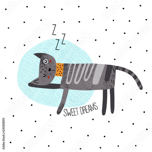 Baby design. Cute sleeping cat. Perfect for t-shirt, apparel, cards, poster, nursery decoration. Cute vector illustration.