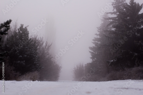 Winter weather   snow road   foggy snow