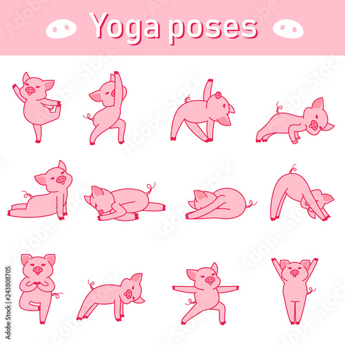  pigs yoga poses