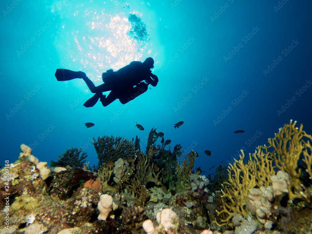 Divers silhouette Divers silhouette