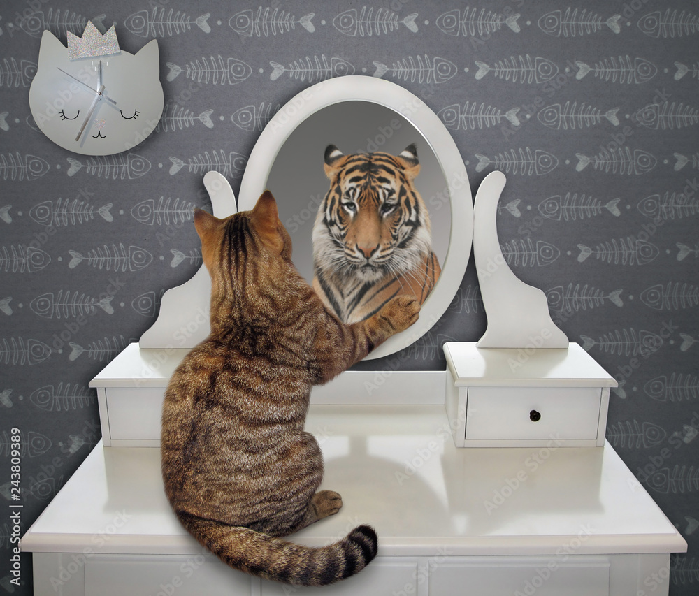 Obraz premium Kot patrzy na swoje zabawne odbicie w lustrze w domu. Widzi tam tygrysa.