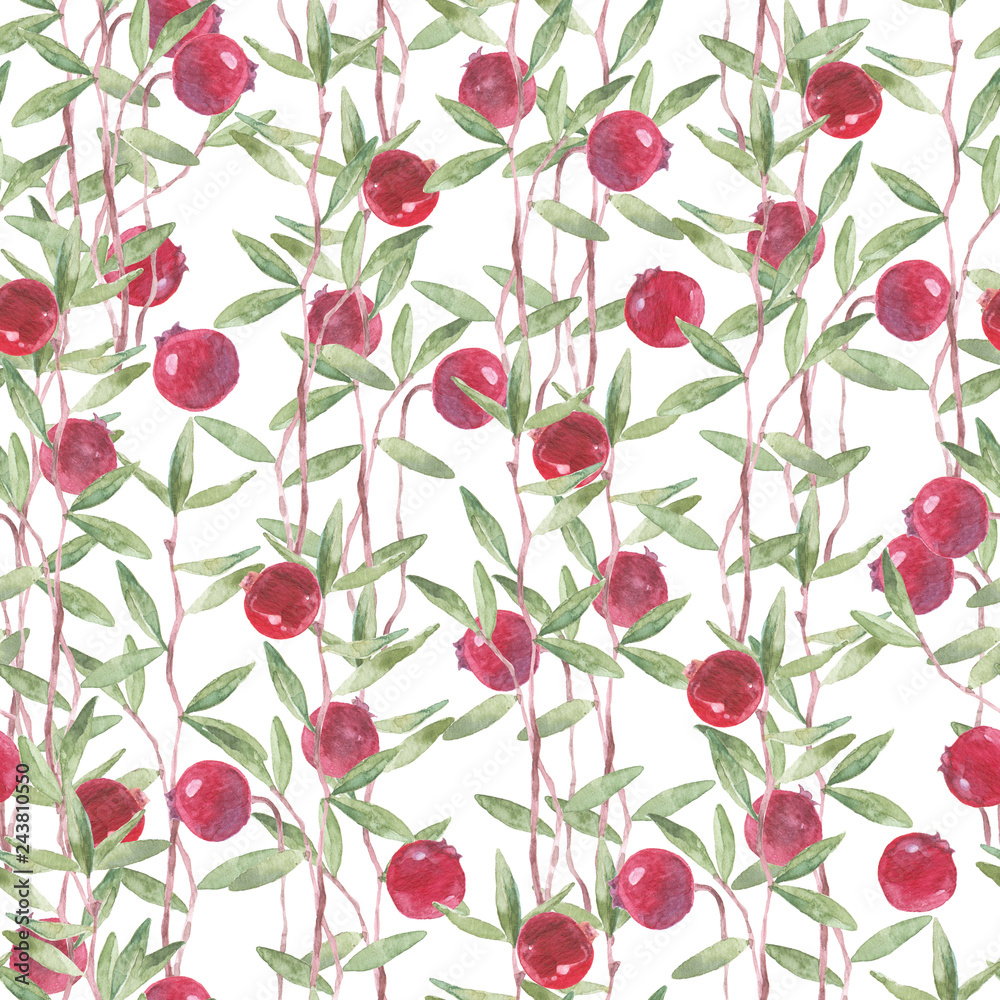 Obraz premium Seamless watercolor pattern with cranberry on a white background.