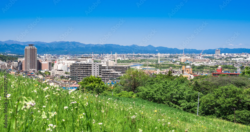 新緑の丘から眺める住宅街　ワイド