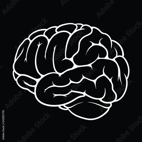 Human brain, white outline on black background