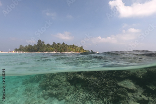 Underwater coral reef and fish in Indian Ocean, Maldives. Tropical clear turquoise water
