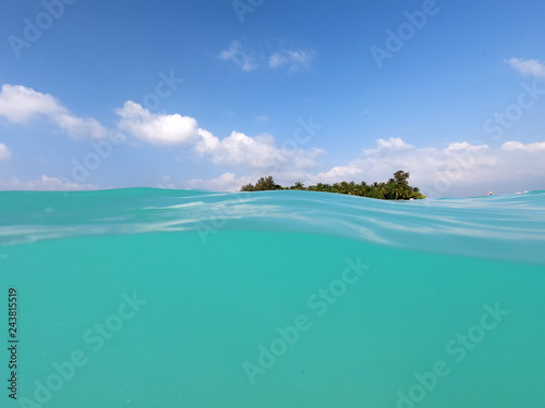Underwater coral reef and fish in Indian Ocean, Maldives. Tropical clear turquoise water