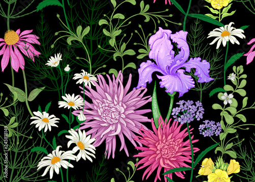 Seamless background with wild flowers. Full color pattern.