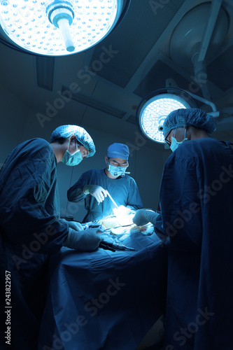 Fototapeta Naklejka Na Ścianę i Meble -  two of veterinarian surgery in operation room take with art lighting and blue filter