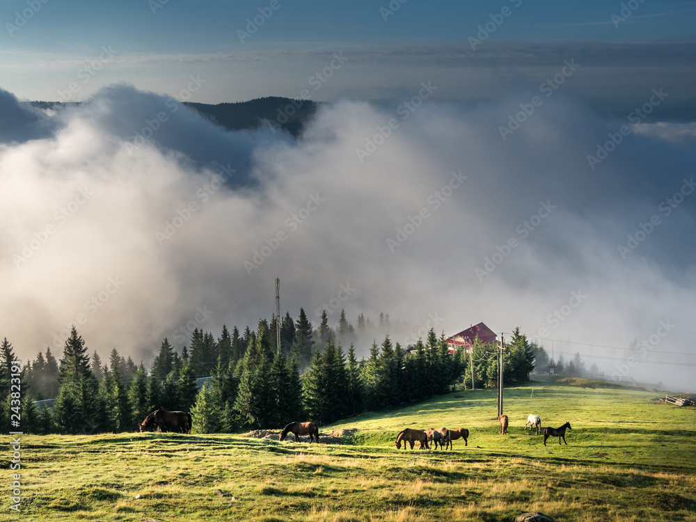 Summertime in the mountains. Mountain hut at the edge of the forest with mist at the sunrise. Peaceful spring summer image with space for text