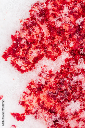 Red blood on white snow as a background