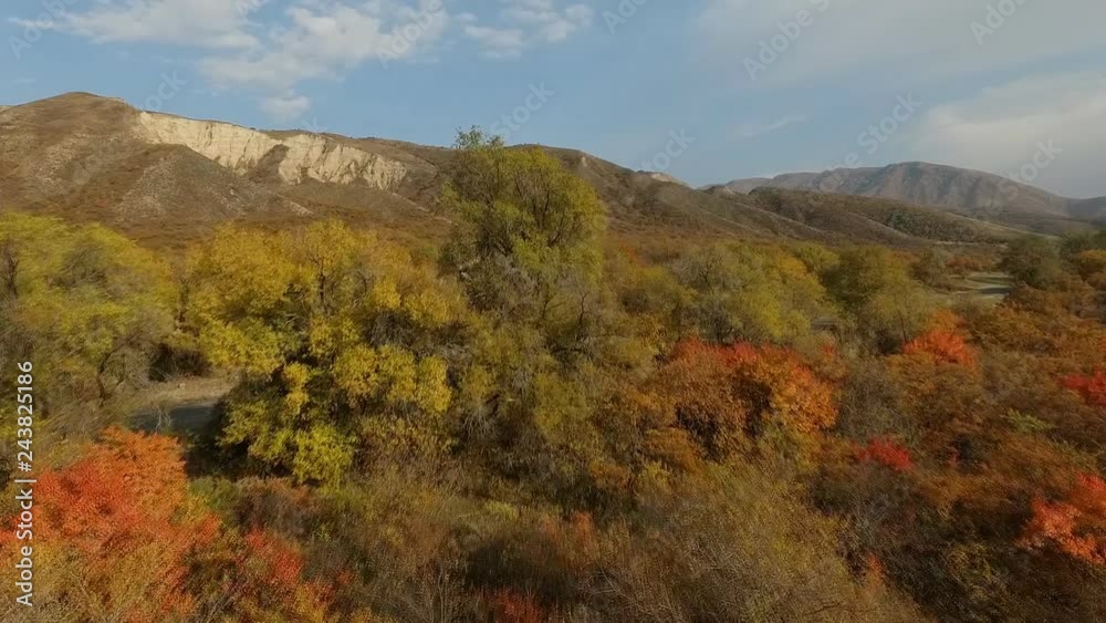 Autumn landscape in the mountains. Video from the air. Beautiful trees. Autumn landscape in the mountains. Video from the air. Beautiful trees.