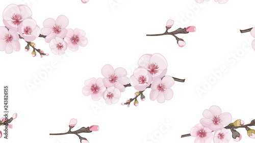 Handmade Seamless pattern in the Japanese style. Spring pattern of sakura flowers. Magenta on white background. Design element for textiles, wallpaper, packaging, printing.