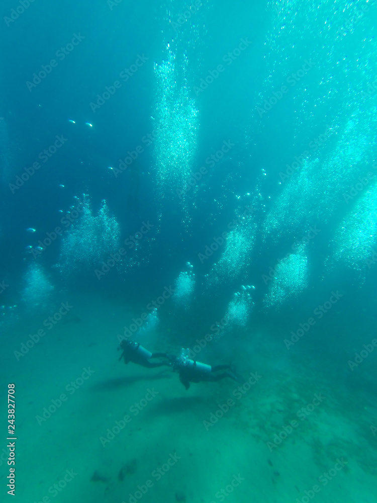 Fototapeta premium Underwater view with diver