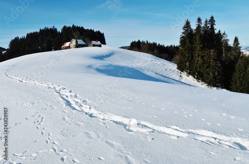 Schneelandschaft