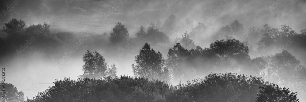 Foggy morning in the meadow, countryside. Banner for design. Foggy morning in the meadow, countryside. Banner for design.