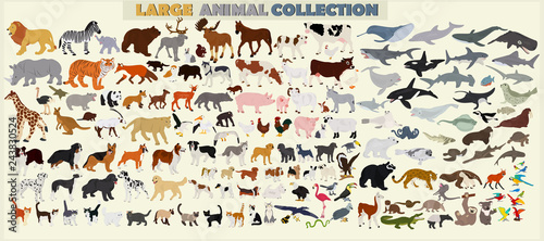 A large set of animals of the world on a light background.