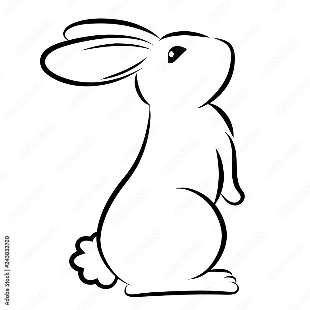 Rabbit Line Stand Stock Vector Adobe Stock
